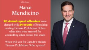 Marco Mendicino: Repeat Firearm Prohibition Order Offenders for April 2 - 9, 2022