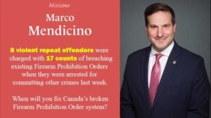Marco Mendicino When Will You Fix the Broken Firearms Prohibition Order System